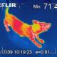Thermal imaging can be fun, too.
